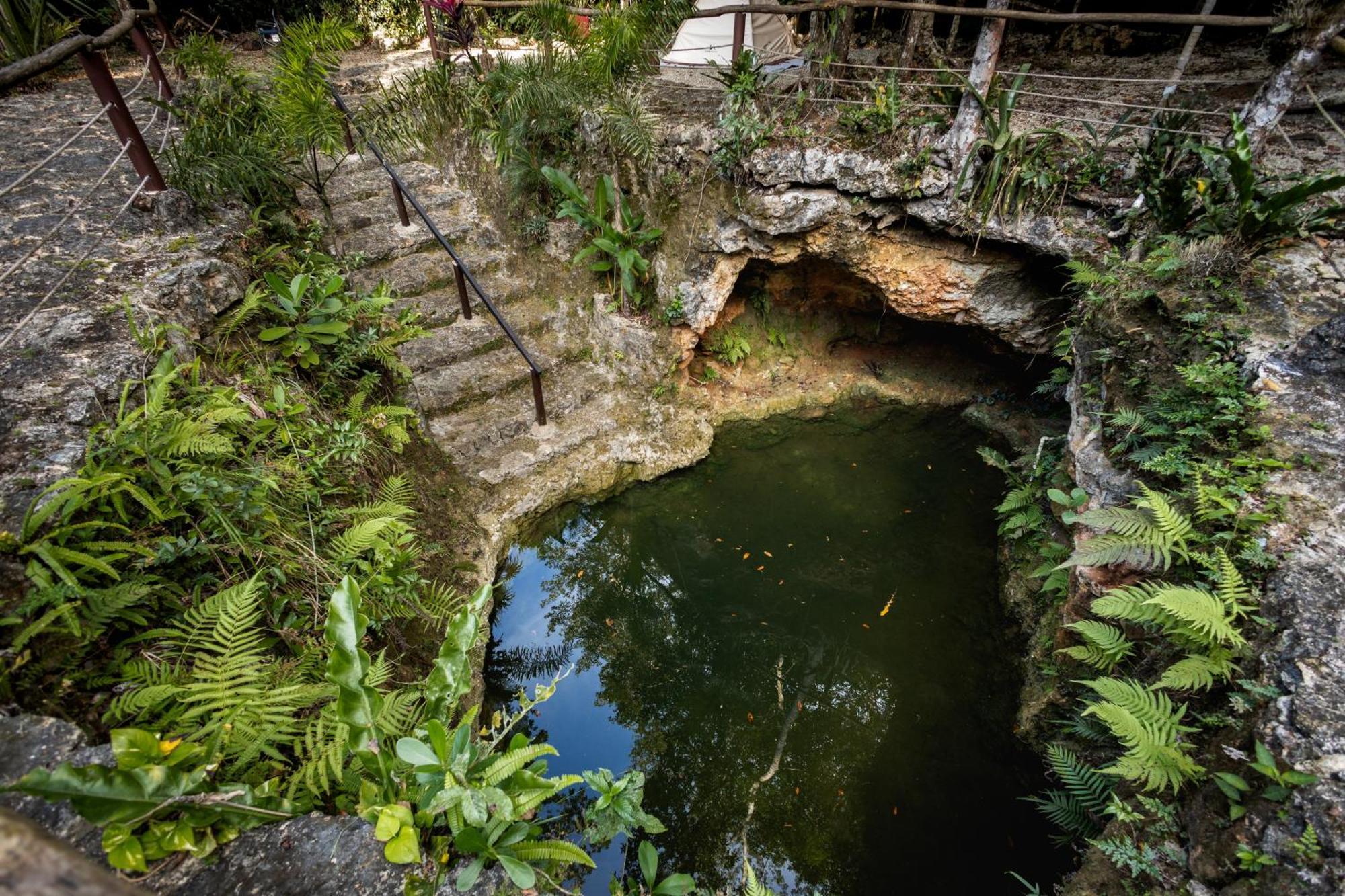 Cheel Lodge & Camping Puerto Morelos Exterior photo