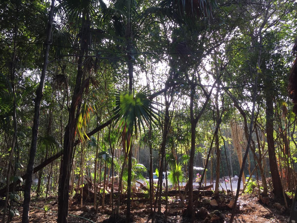Cheel Lodge & Camping Puerto Morelos Exterior photo